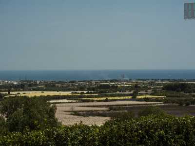 Da qui � possibile scrutare tutta la piana verde che separa questo splendido poggio da Mola, con il mare Adriatico, azzurro pi� che mai, che si profila all�orizzonte